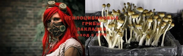 тгк Баксан