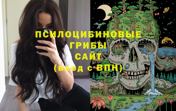 мдпв Балахна