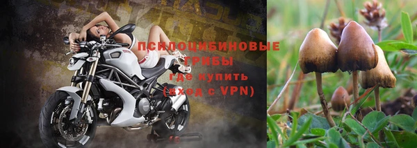 тгк Баксан